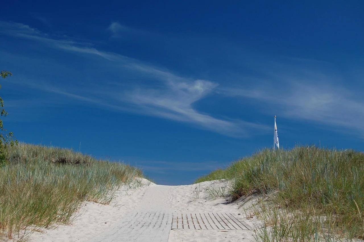 Sandig stig med träd som leder till en strand vid havet en solig sommardag