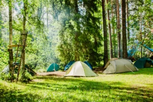 Bästa campingplatser i Södermanland: komplett guide 2025 med 25 naturnära alternativ