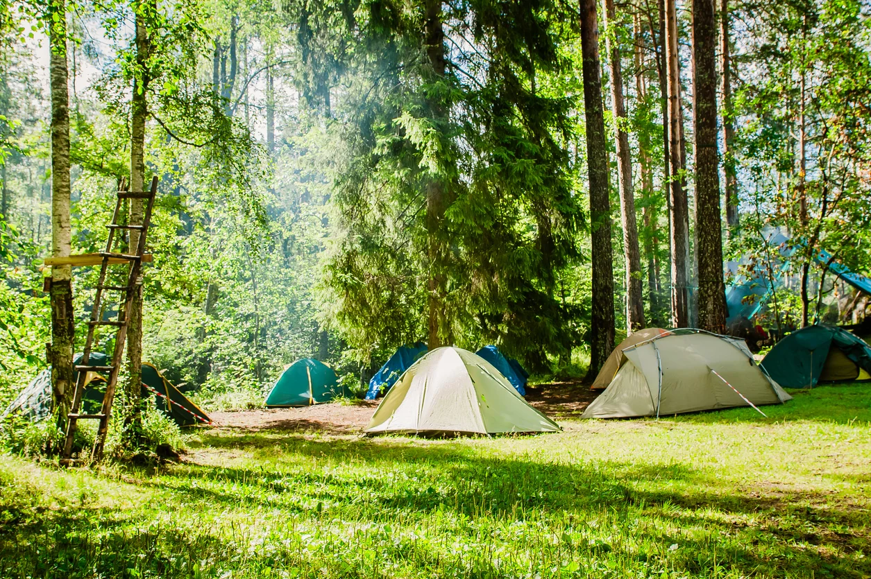 Tält uppställda i naturen vid en campingplats i Södermanland