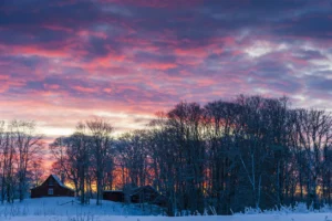 Dagsutflykt Östergötland: Din guide till oförglömliga upplevelser