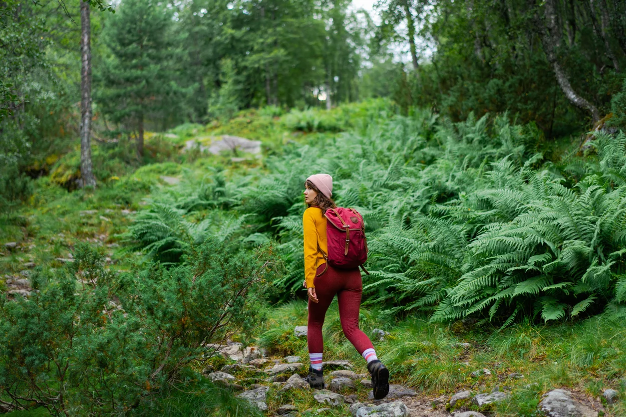 Vandringsleder i Sverige