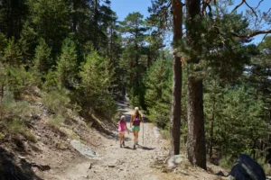 Utflykt Öland 2025: Upptäck öns bästa sevärdheter och oförglömliga smultronställen